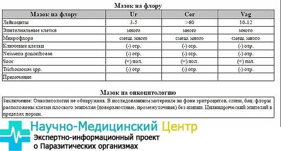 Гинеколог меряет глубину. От чего зависит размер влагалища, как его узнать и какой средний