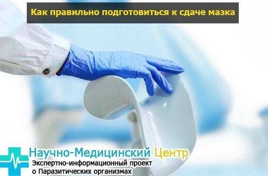 Гинеколог меряет глубину. От чего зависит размер влагалища, как его узнать и какой средний