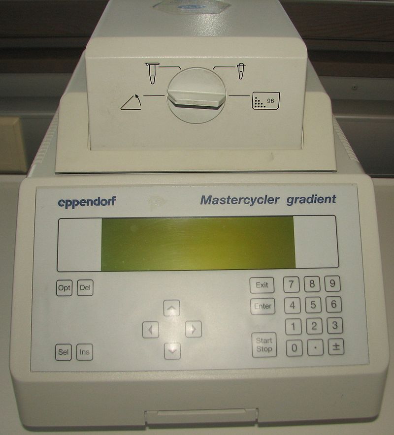 PCR1.jpg