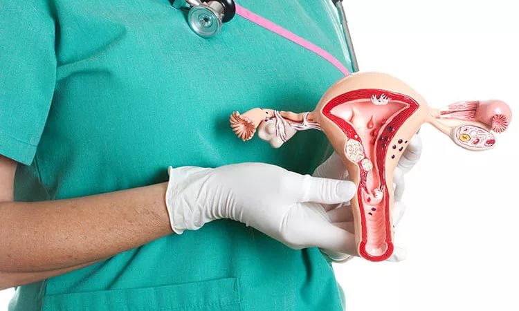 гистероскопия 3.jpg