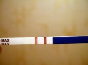 Тест на беременность