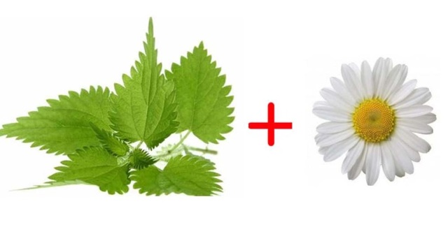 Лечение кист шейки матки народными средствами: рецепты