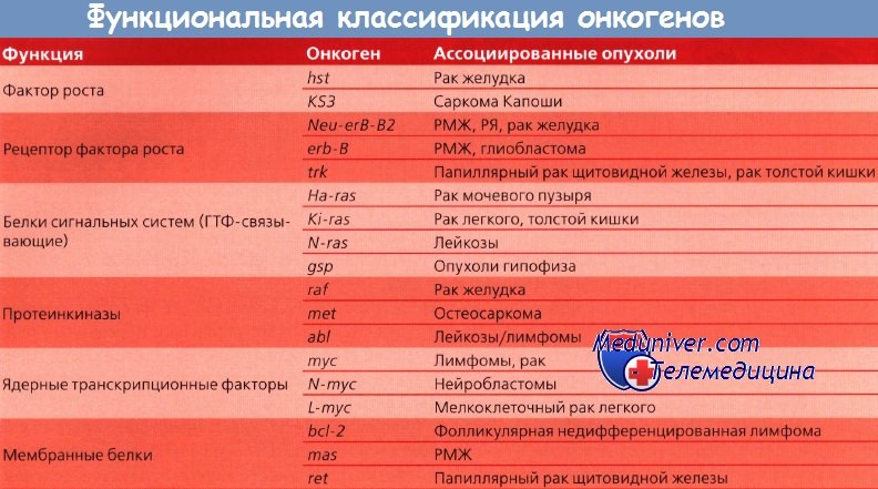 Функциональная классификация онкогенов