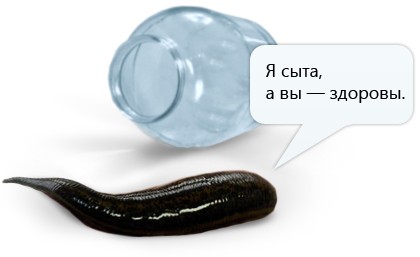 Медицинская пиявка рекламирует свои услуги