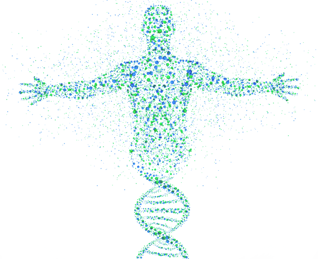 Рак тела матки